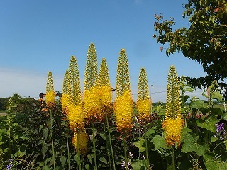 e0004756_21370346.jpg
