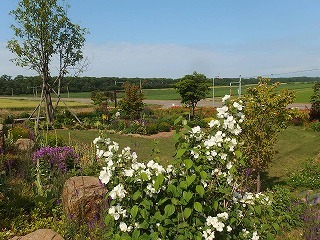 e0004756_21454996.jpg