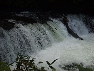 e0004756_21540184.jpg