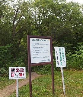 e0004756_22131615.jpg