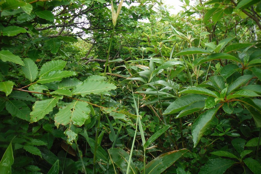 c0294658_23122758.jpg
