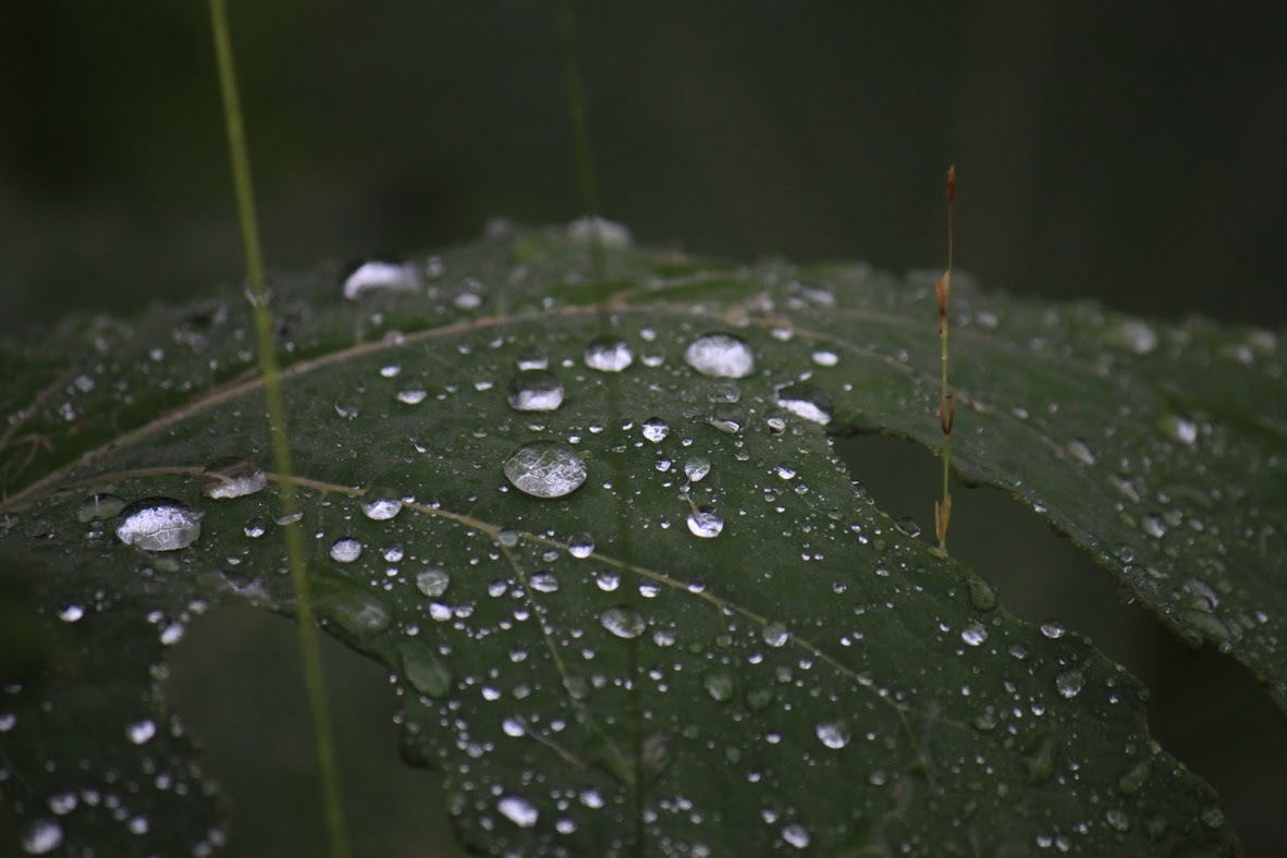 a0248459_01445800.jpg