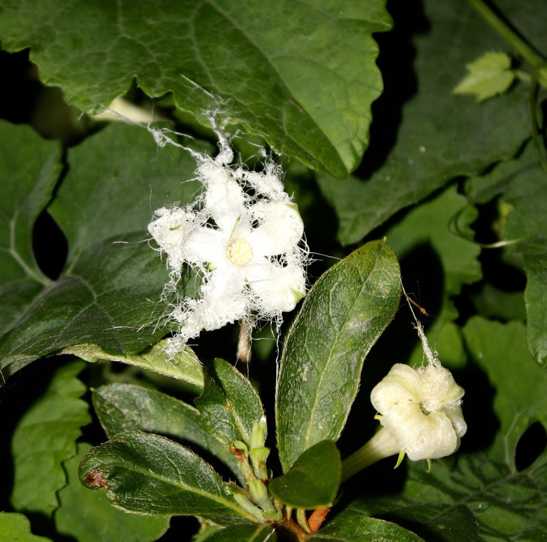 a0248459_13450420.jpg