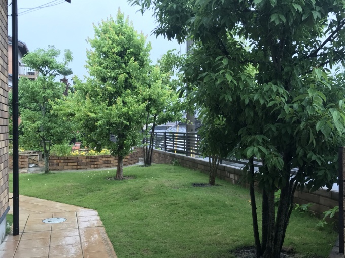 梅雨の晴れ間に出来ること_b0100062_07595483.jpeg