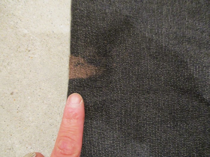 e0187362_13084410.jpg