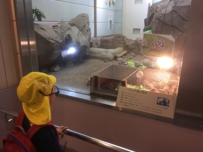 a0295764_22103019.jpeg
