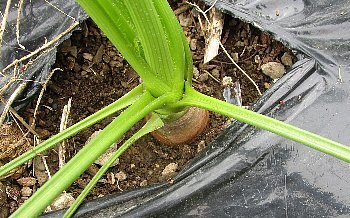 f0003283_08374985.jpg
