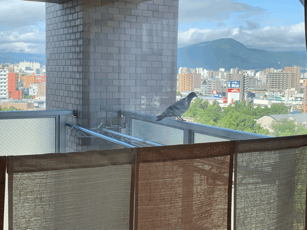 a0309389_17215586.gif
