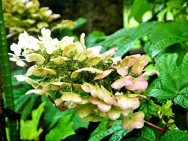 a0207593_11293282.jpg