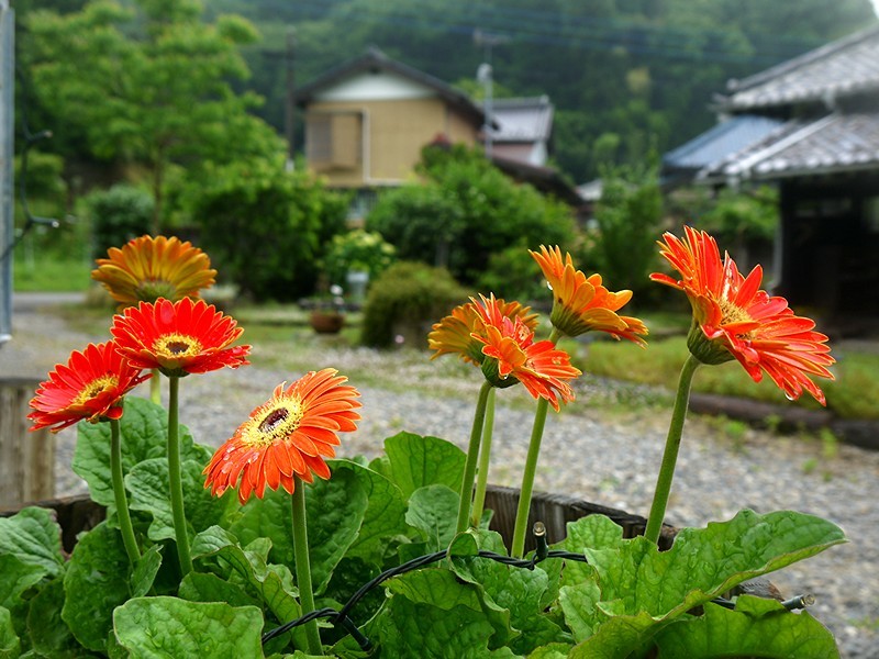 a0207593_11303498.jpg