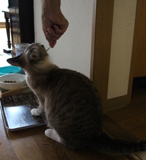 運は自分で切り開く_a0333195_10084079.jpg