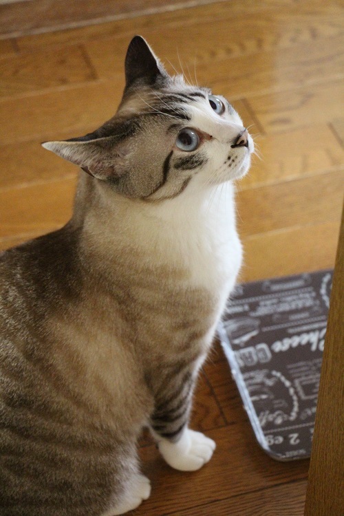 運は自分で切り開く_a0333195_10092492.jpg
