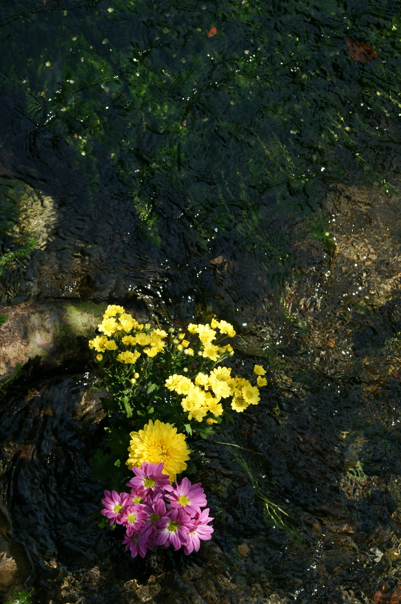 b0155395_15453442.jpg