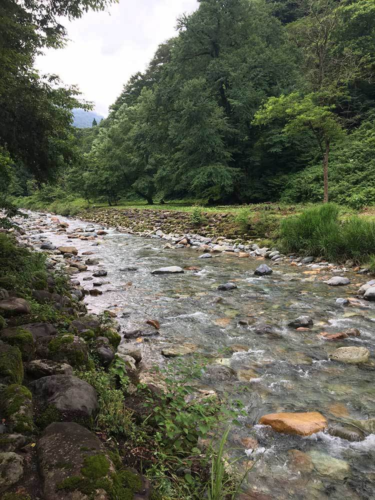 f0217896_12292459.jpg