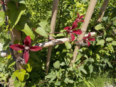 a0203003_21254040.jpg