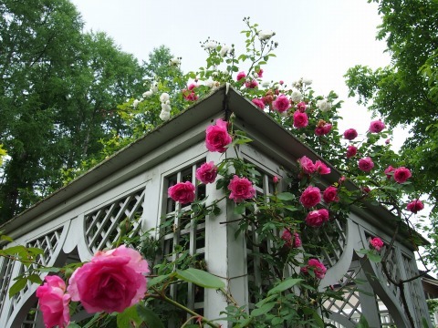c0117007_20230093.jpg
