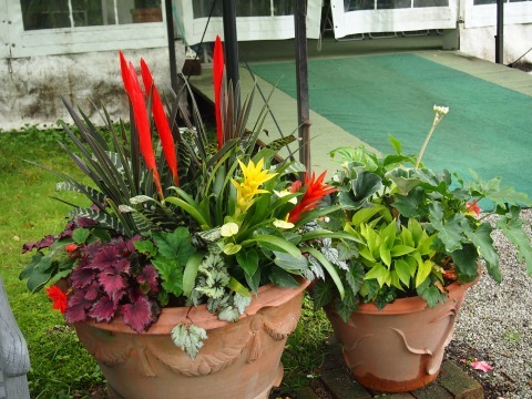 c0117007_20325830.jpg
