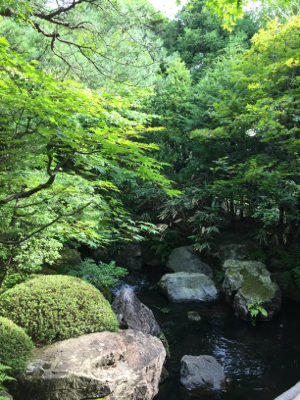山陰へ まずは足立美術館_b0151911_17165981.jpg