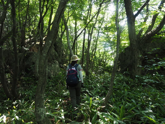 燕岩登山_c0116915_00401402.jpg