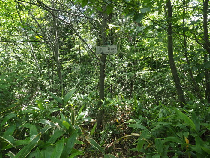 燕岩登山_c0116915_00440423.jpg