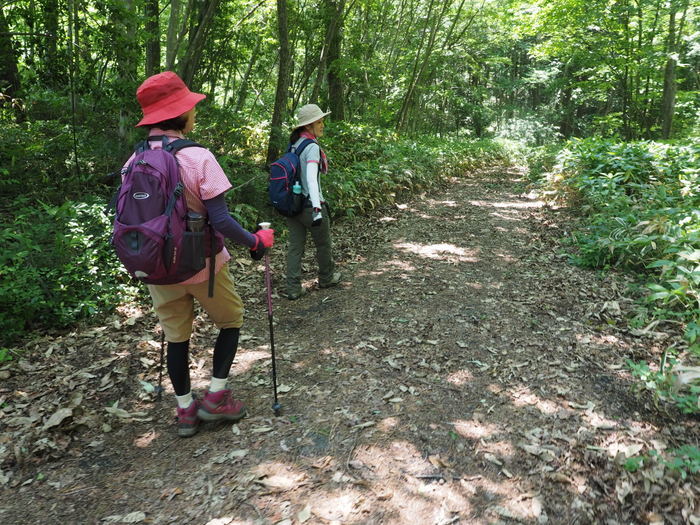 燕岩登山_c0116915_00540075.jpg