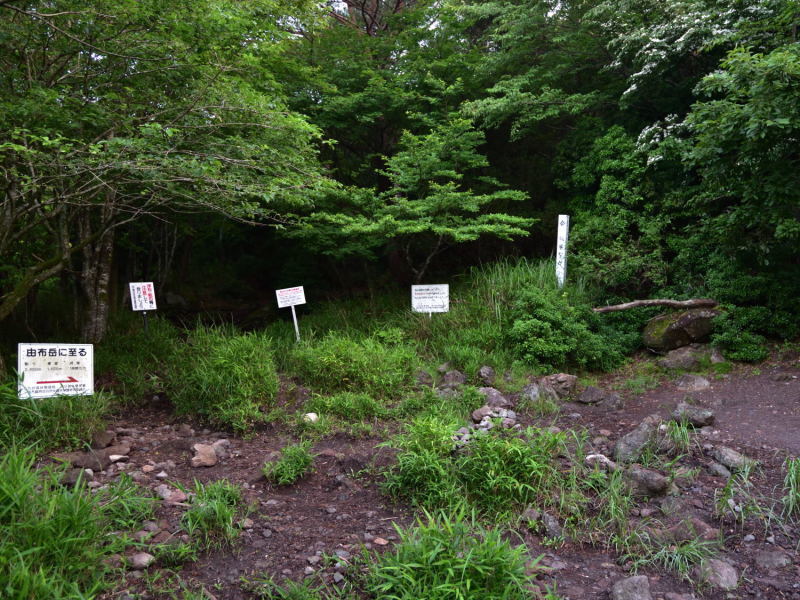 d0355116_17191077.jpg