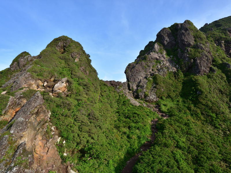 d0355116_17223635.jpg