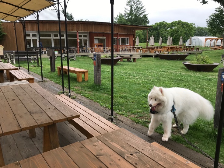 f0234023_11261174.jpeg