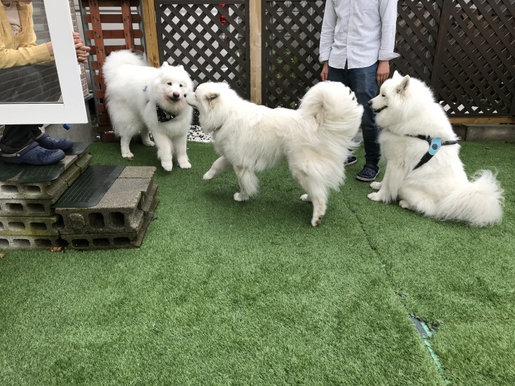 f0234023_11283170.jpeg