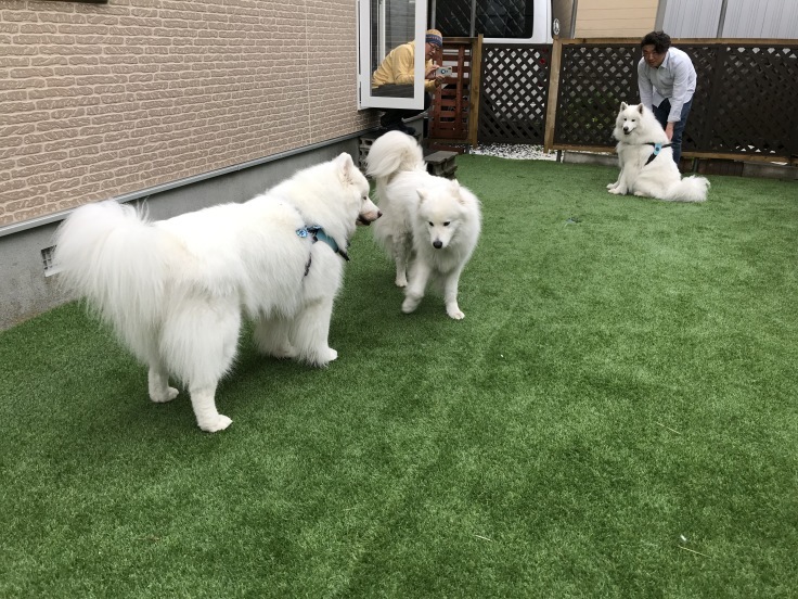 f0234023_11284038.jpeg