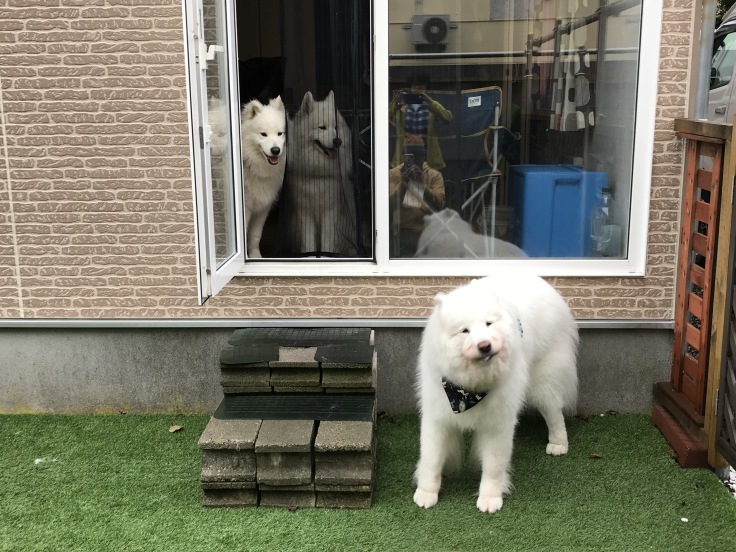 f0234023_11294474.jpeg