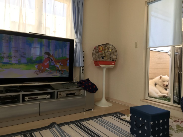f0234023_11313271.jpeg