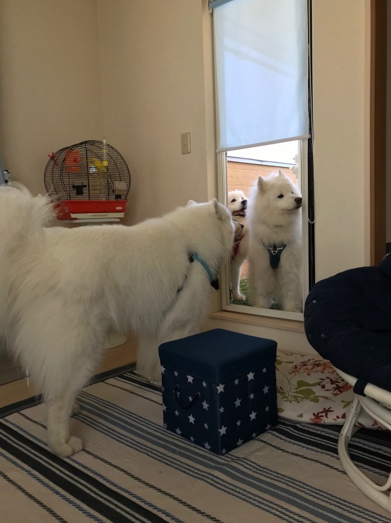 f0234023_11315678.jpeg