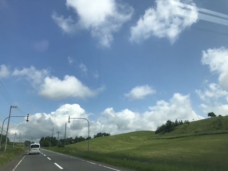 5: 2019年　北海道旅行記　7月3日 （水）_f0234023_11320309.jpeg