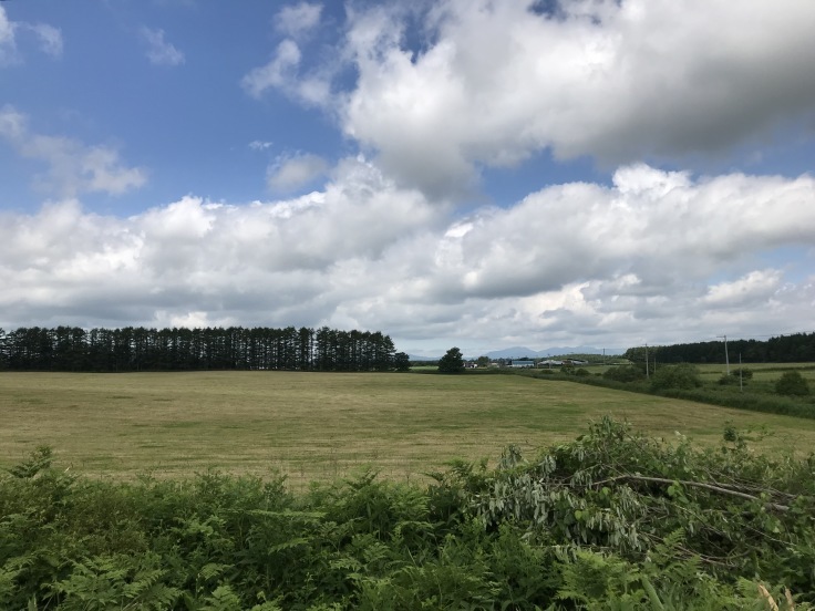 5: 2019年　北海道旅行記　7月3日 （水）_f0234023_11323798.jpeg