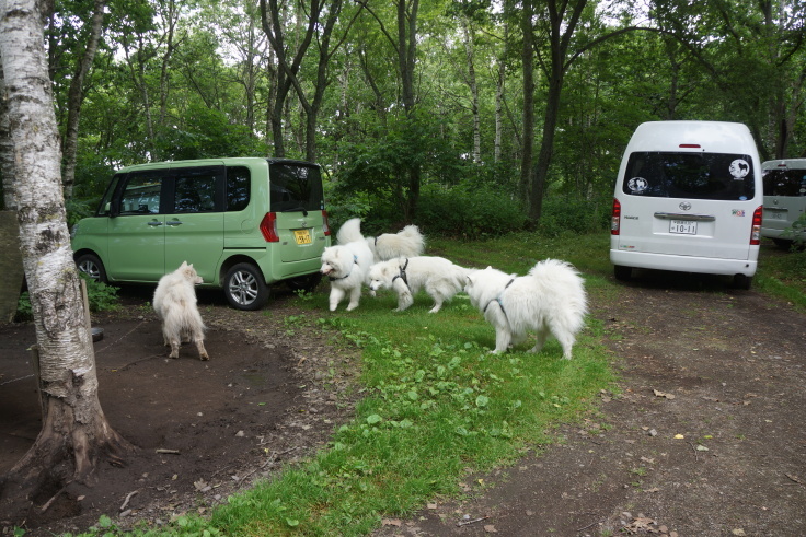 5: 2019年　北海道旅行記　7月3日 （水）_f0234023_11330951.jpg