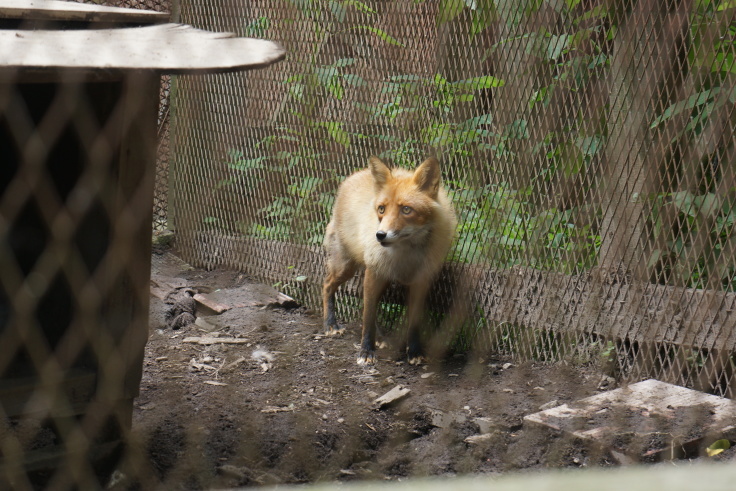 5: 2019年　北海道旅行記　7月3日 （水）_f0234023_11340891.jpg