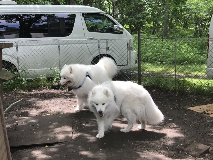 5: 2019年　北海道旅行記　7月3日 （水）_f0234023_11351545.jpeg