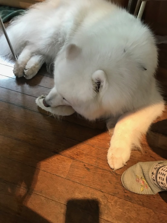 f0234023_11373569.jpeg