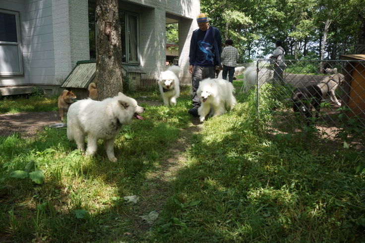 f0234023_11404238.jpg