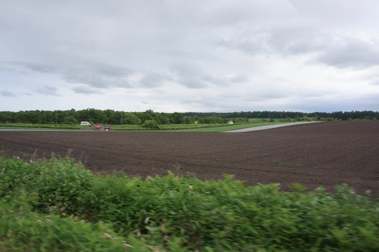 f0234023_11434031.jpeg