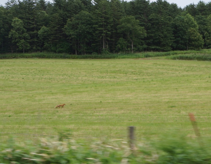 f0234023_11442119.jpeg