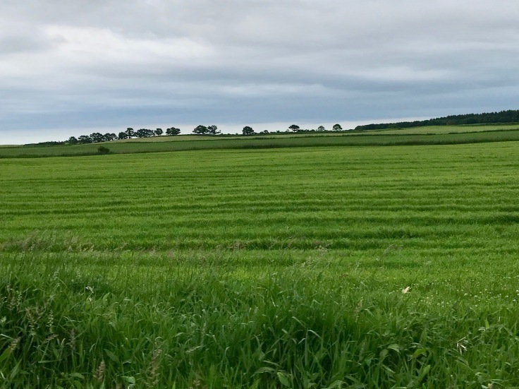 f0234023_11450900.jpeg