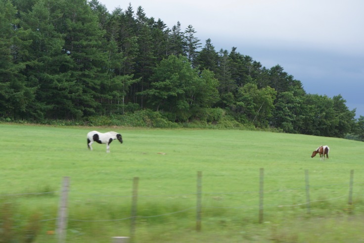 f0234023_11455315.jpeg