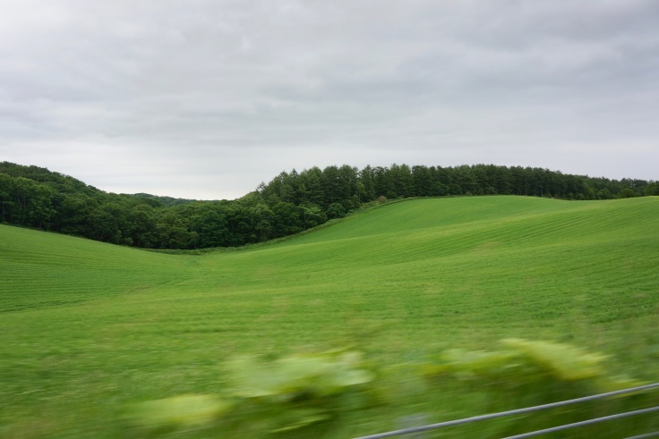 f0234023_11461621.jpeg