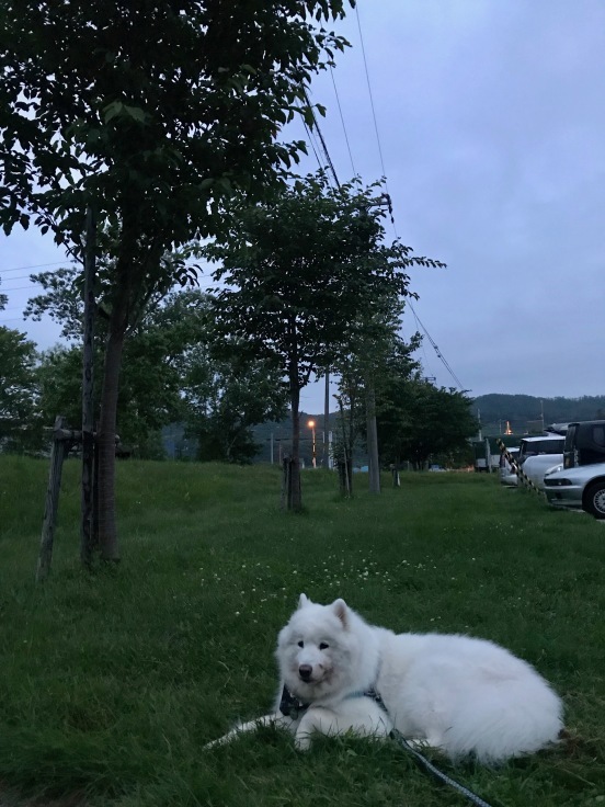 f0234023_11490539.jpeg
