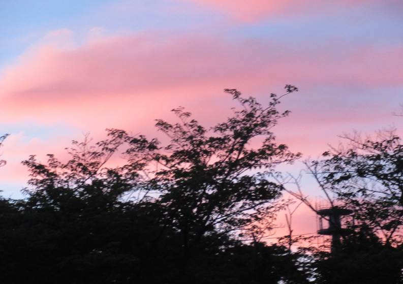 b0285624_08001472.jpg