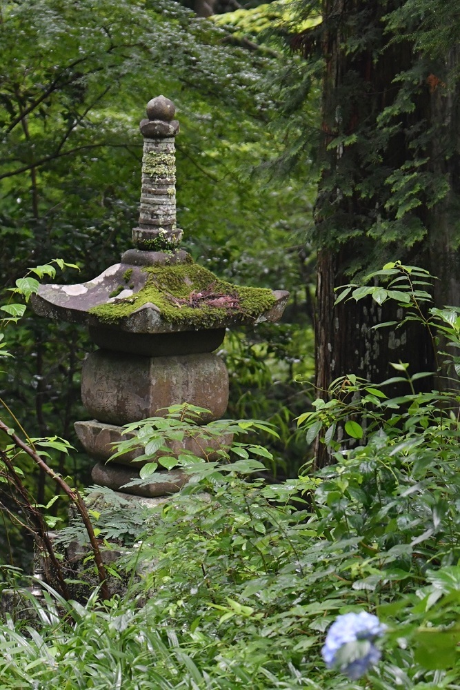 b0405327_23003325.jpg