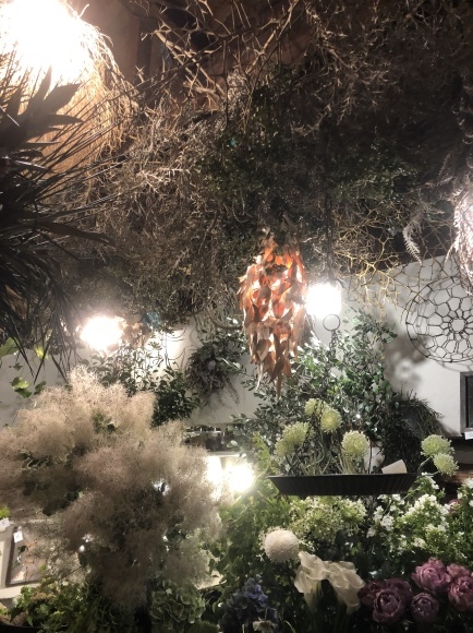 真夜中の宿り木_c0102228_13140493.jpeg