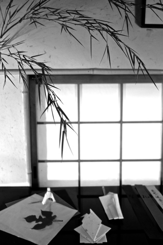 七夕に咲く庭の花_a0197730_00422998.jpg
